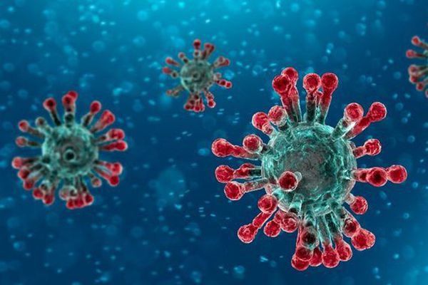 Virus Corona – Triệu chứng và cách phòng ngừa