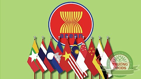 25 năm Việt Nam gia nhập ASEAN: Hòa nhập, phát triển và trách nhiệm khu vực