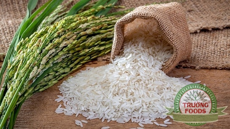 đặc sản gạo việt nam